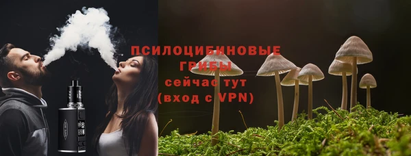 амф Вяземский