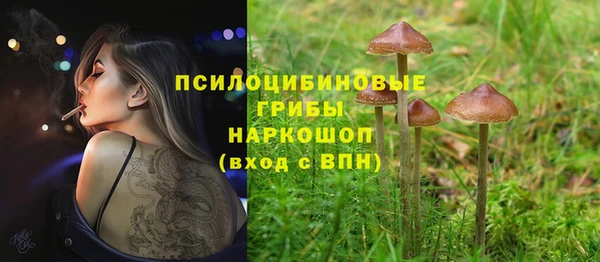 бошки Горно-Алтайск