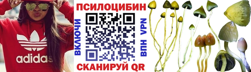 наркотики  mega tor  Галлюциногенные грибы Cubensis  Ногинск 