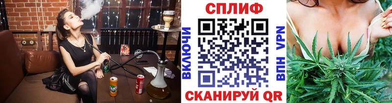 Марихуана конопля  Ногинск 